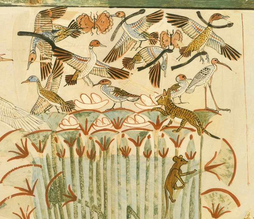 A cat hunting ducks from the tomb of Menna