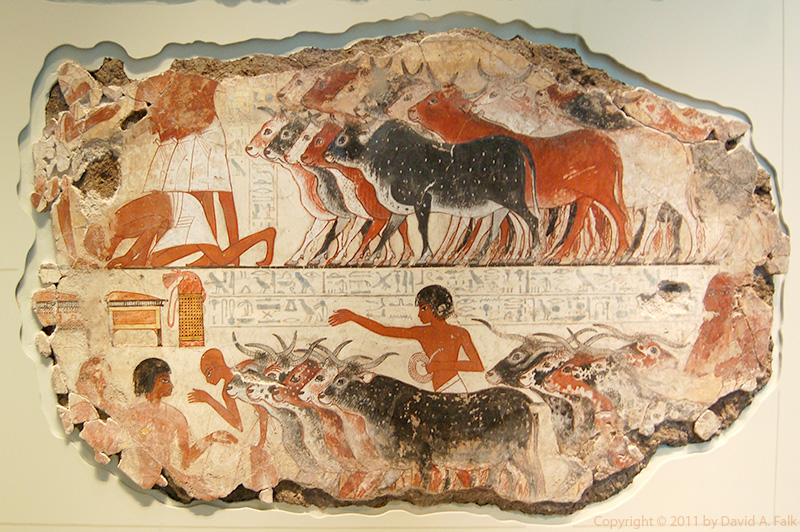 Painting from the tomb of Nebamun showing cattle being herded and storage chests.